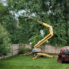  Richville, OH Tree Services Pros